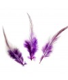 Plume d'autruche colorée GM (20 pièces)